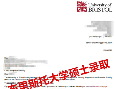 布里斯托大学（硕士）