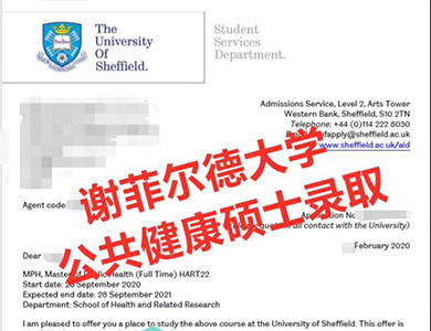谢菲尔德大学