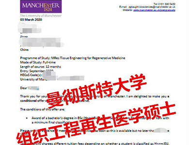 曼彻斯特大学