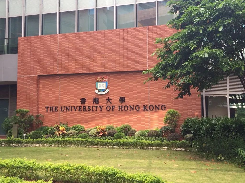 QS最高排名全球第二|香港那些低调奢华的十强专业