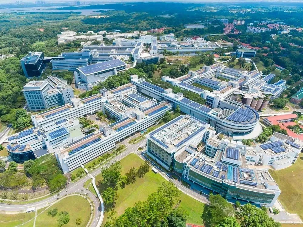 2025名校录取捷报｜低分高龄不气馁，诺诚护航进QS前90！