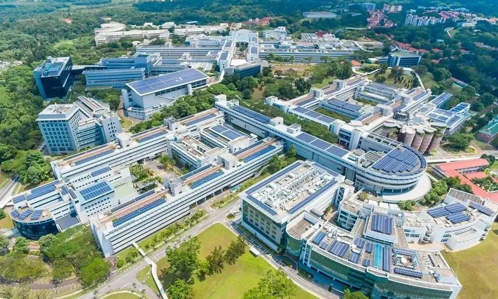 留学干货分享｜NTU暑期科研营·解锁 AI 前沿，踏浪狮城逐光前行～
